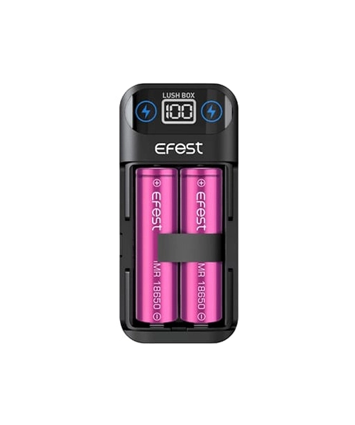 Efest Lush Charger